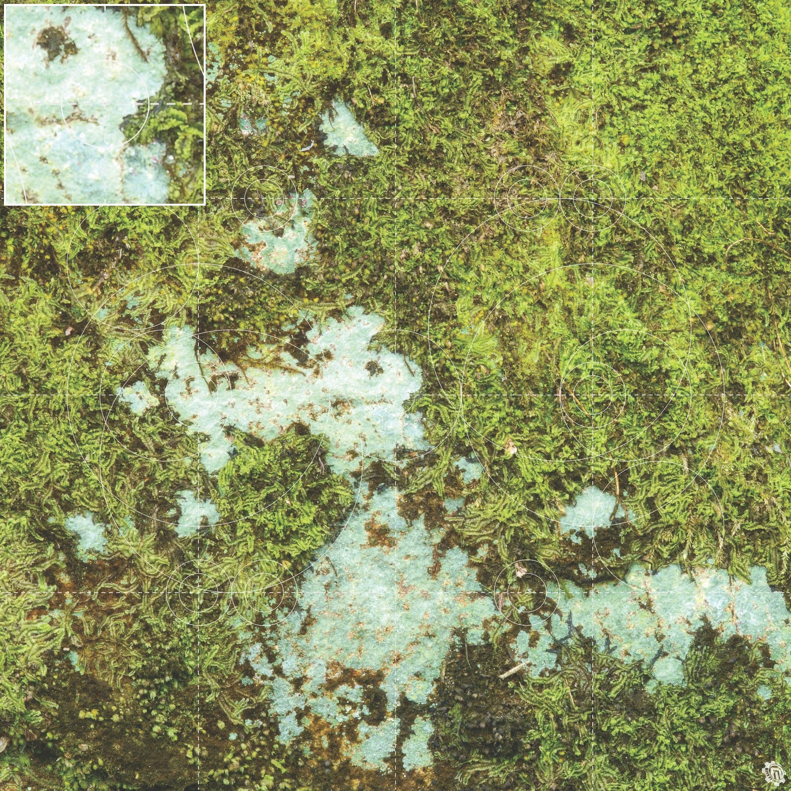 Mats by Mars: Swamplands v1.0 Tabletop Wargaming Play Mat