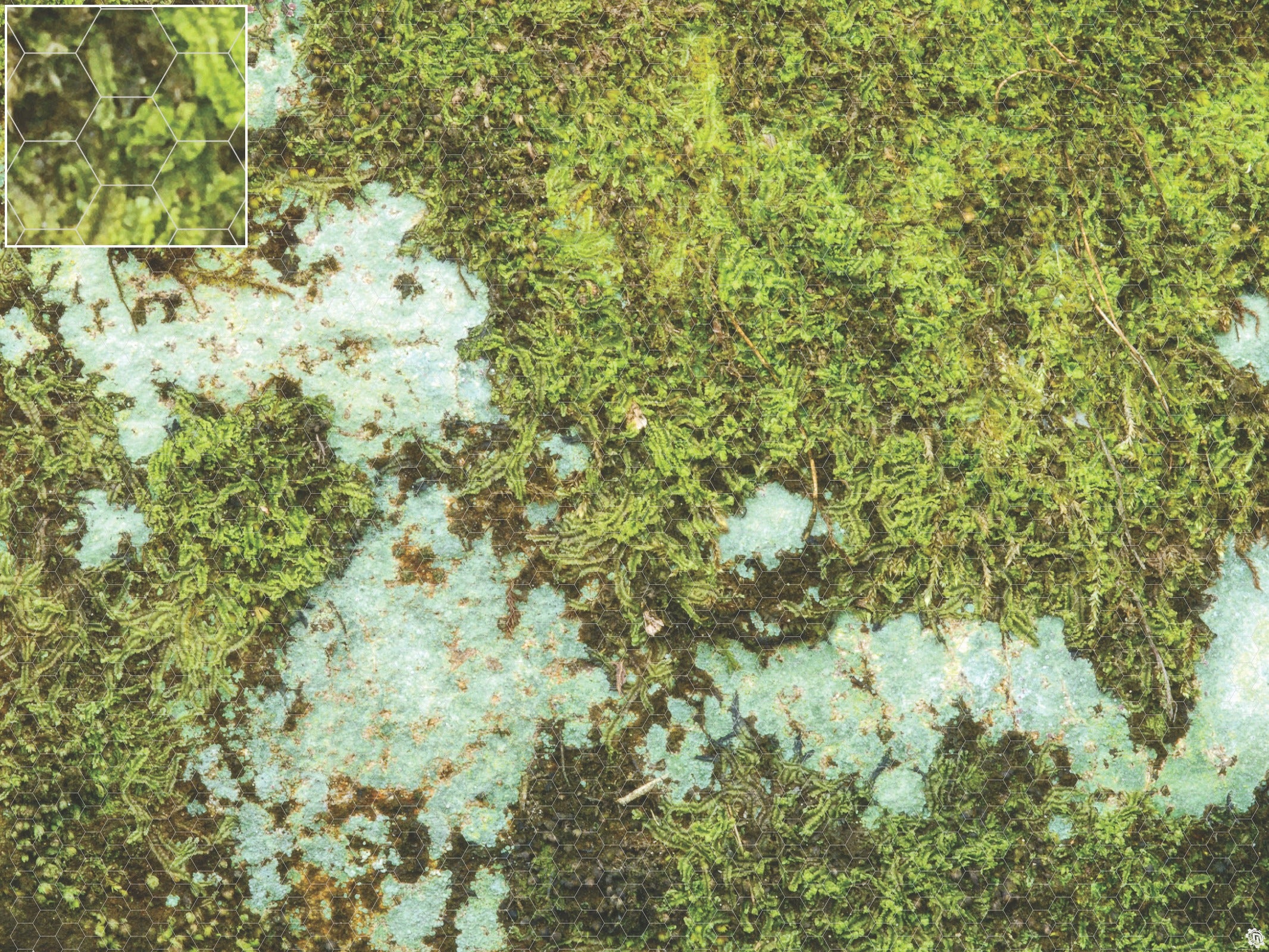 Mats by Mars: Swamplands v1.0 Tabletop Wargaming Play Mat
