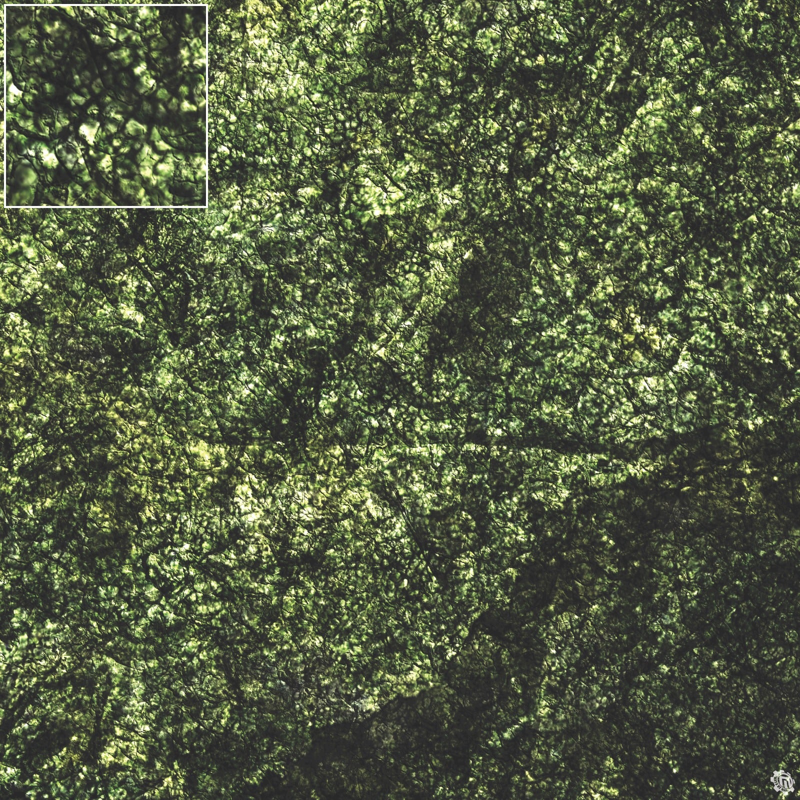 Mats by Mars: Creeping Mold Tabletop Wargaming Play Mat