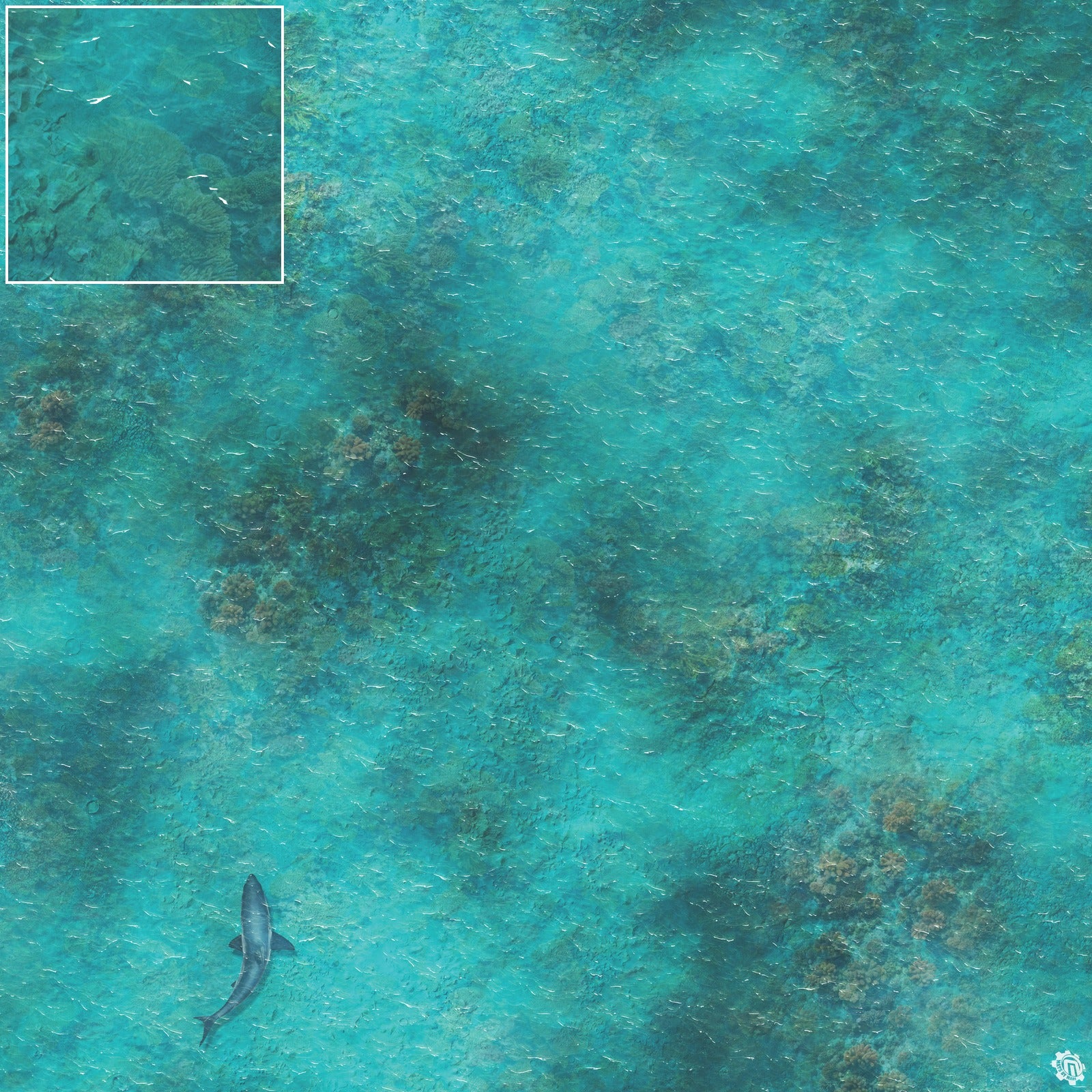 Mats by Mars: Coral Cove Tabletop Wargaming Play Mat