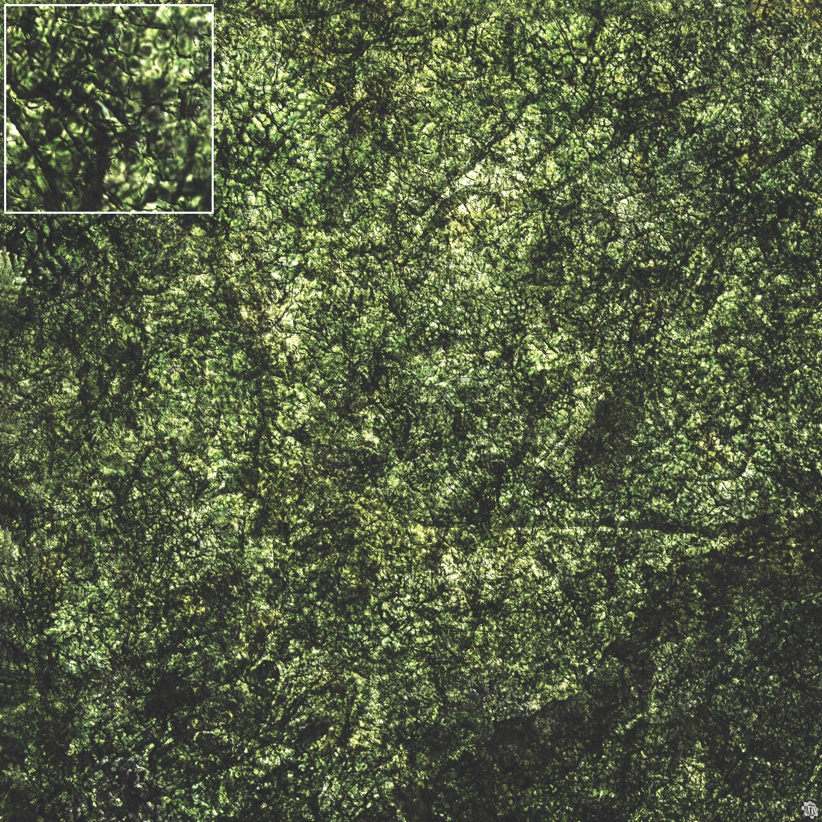 Mats by Mars: Creeping Mold Tabletop Wargaming Play Mat