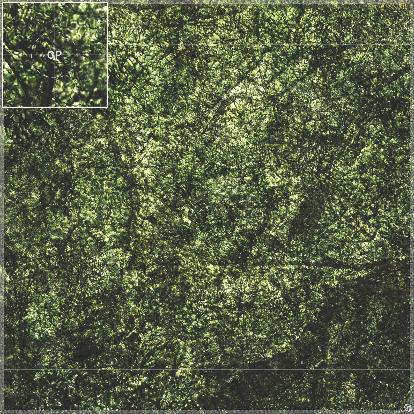 Mats by Mars: Creeping Mold Tabletop Wargaming Play Mat