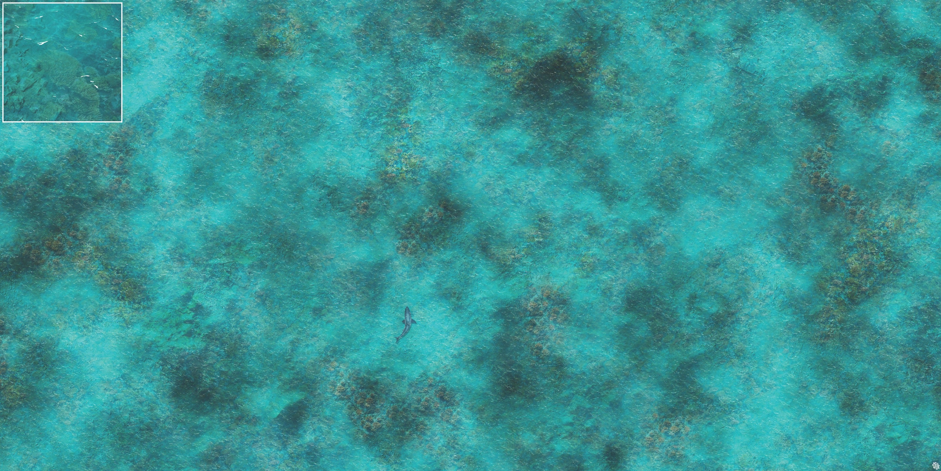 Mats by Mars: Coral Cove Tabletop Wargaming Play Mat