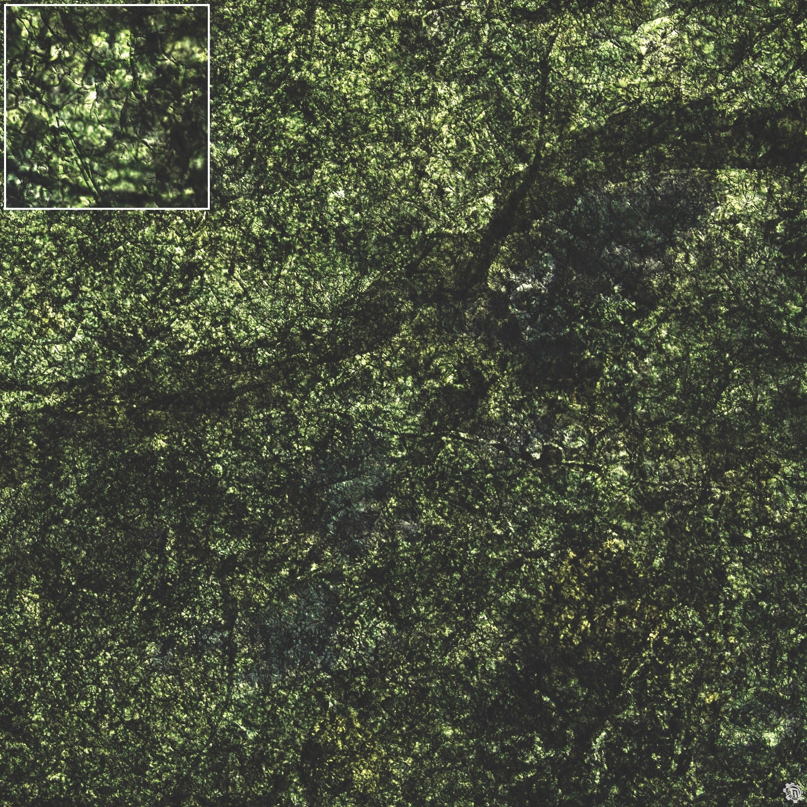 Mats by Mars: Creeping Mold Tabletop Wargaming Play Mat