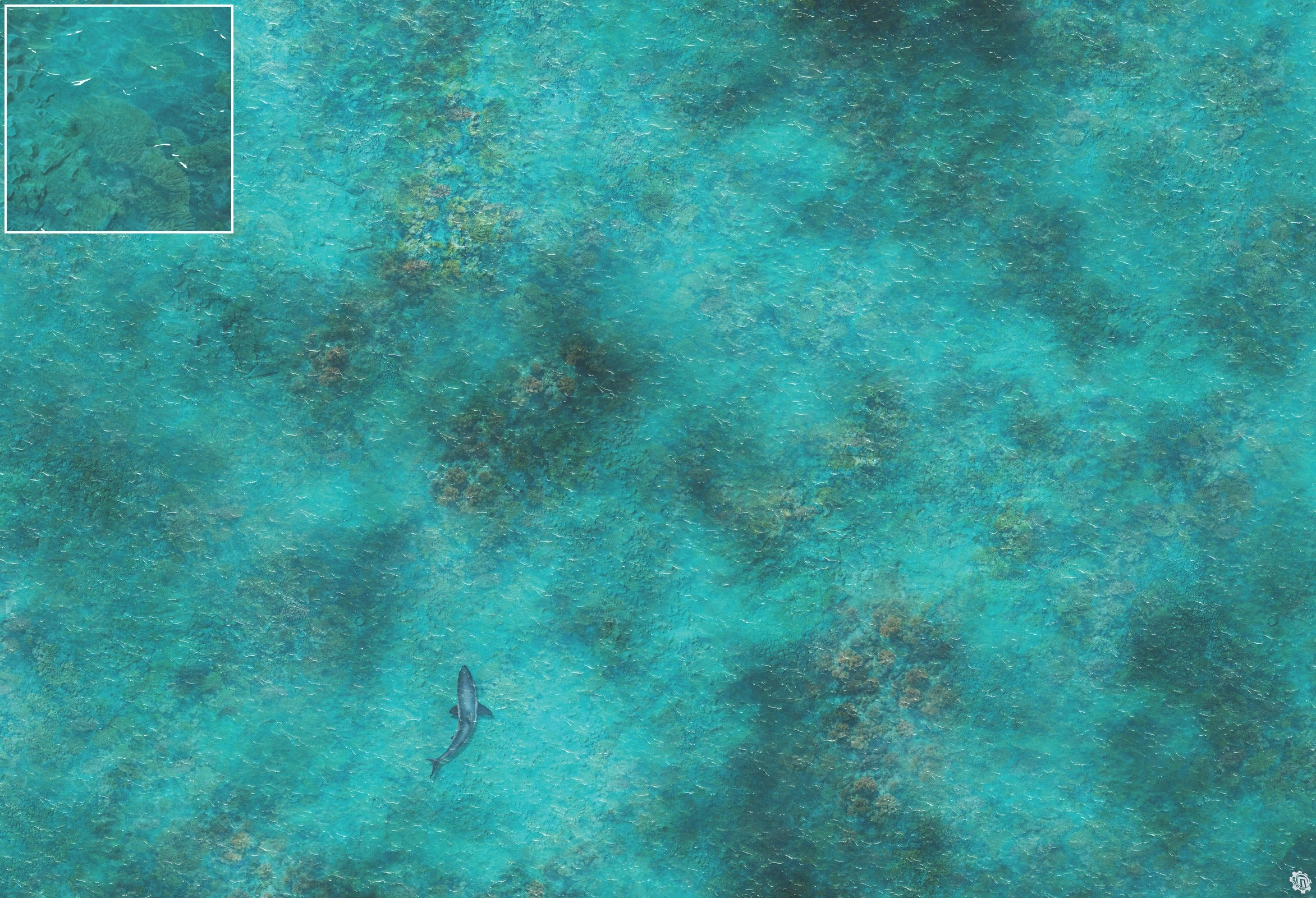 Mats by Mars: Coral Cove Tabletop Wargaming Play Mat