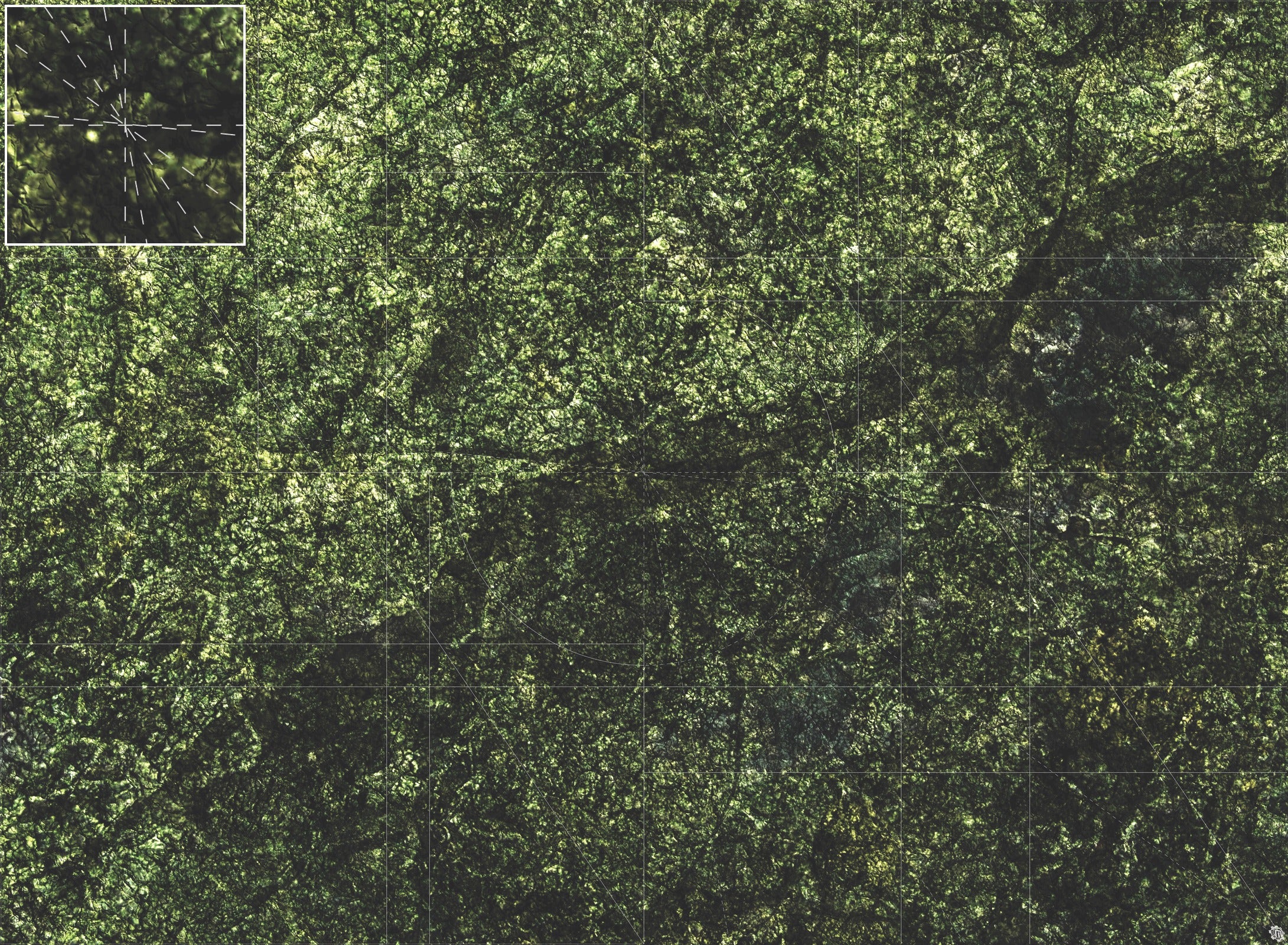 Mats by Mars: Creeping Mold Tabletop Wargaming Play Mat