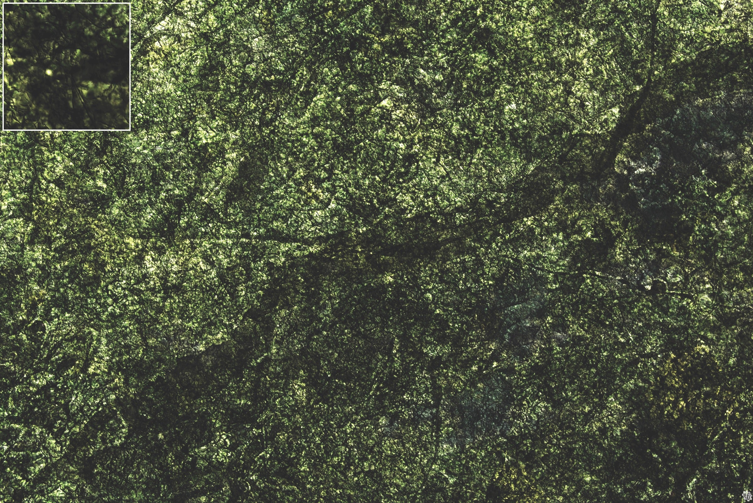 Mats by Mars: Creeping Mold Tabletop Wargaming Play Mat