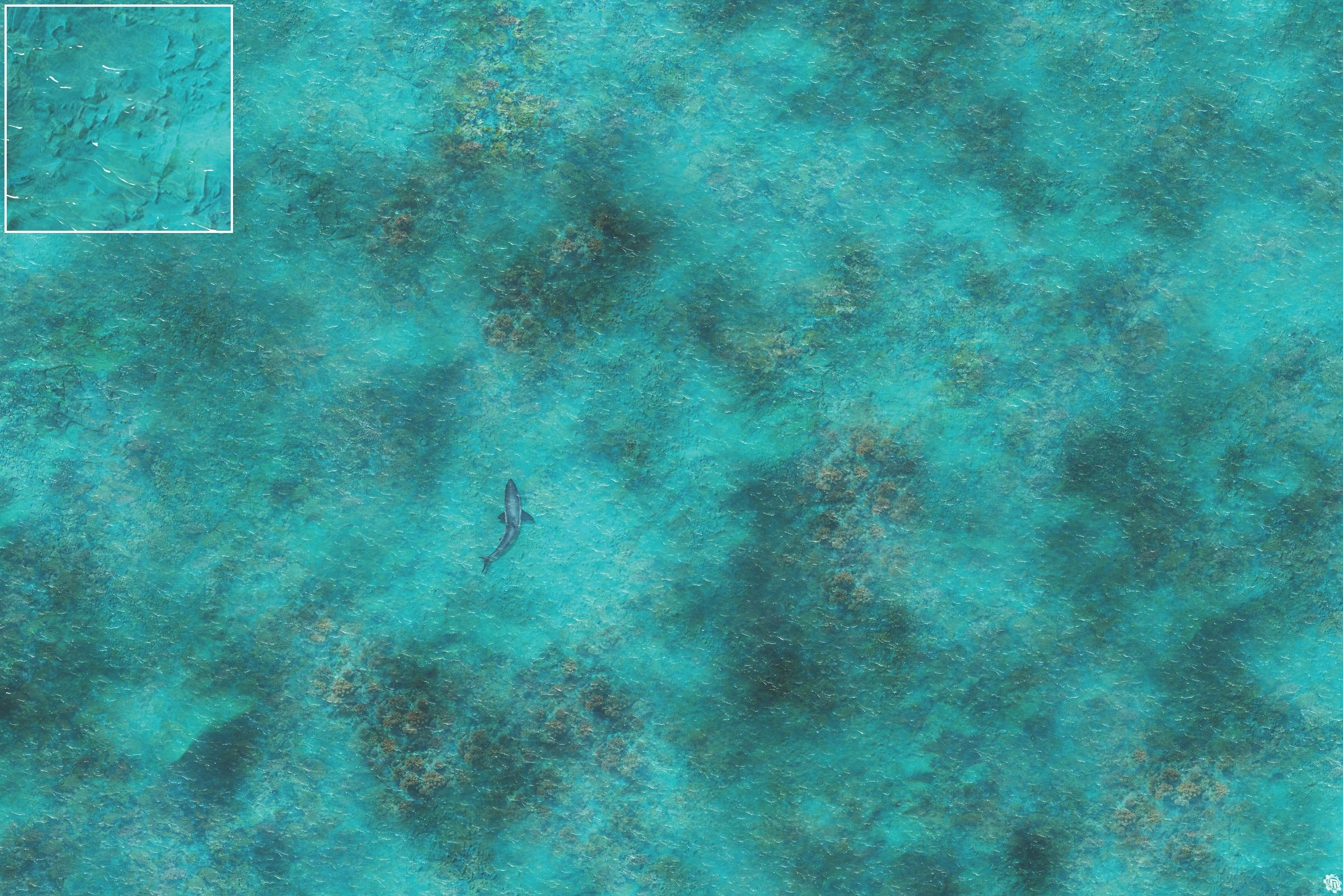 Mats by Mars: Coral Cove Tabletop Wargaming Play Mat
