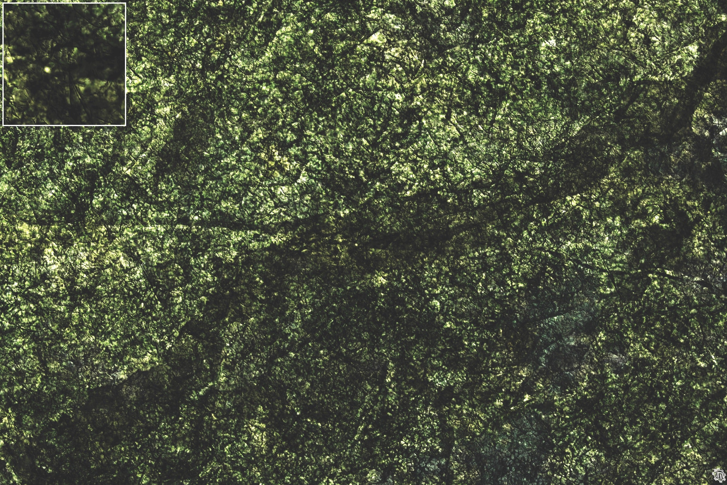 Mats by Mars: Creeping Mold Tabletop Wargaming Play Mat