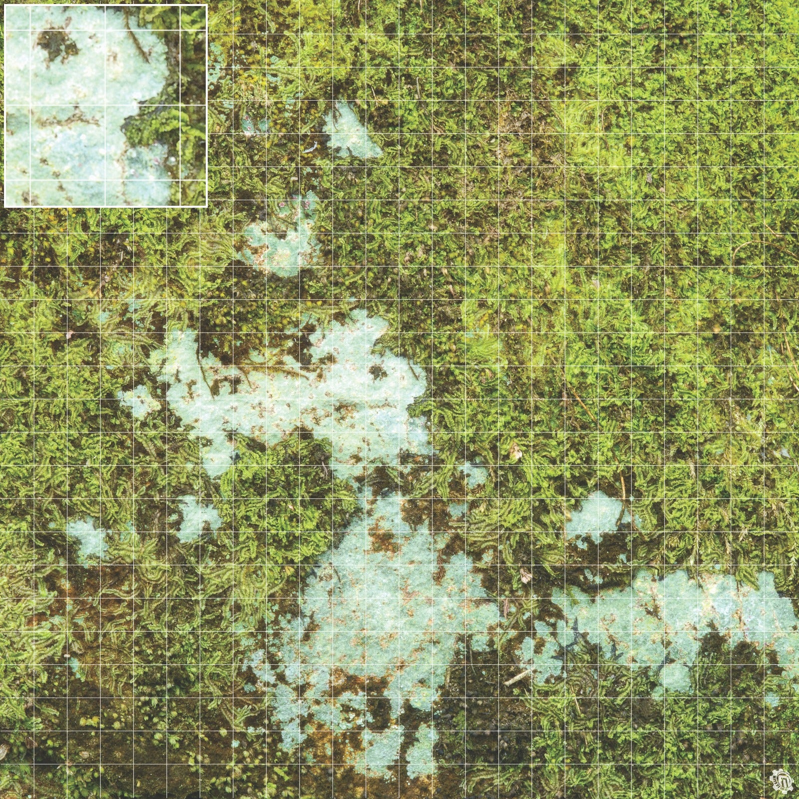 Mats by Mars: Swamplands v1.0 Tabletop Wargaming Play Mat