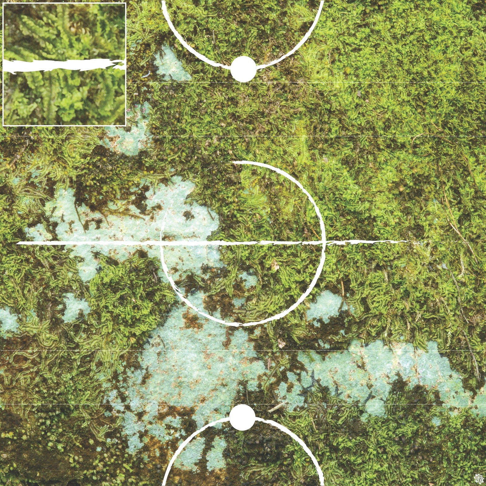 Mats by Mars: Swamplands v1.0 Tabletop Wargaming Play Mat