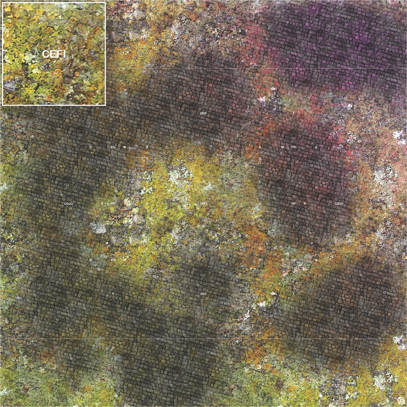 Mats by Mars: Abandoned City v1.0 Tabletop Wargaming Play Mat