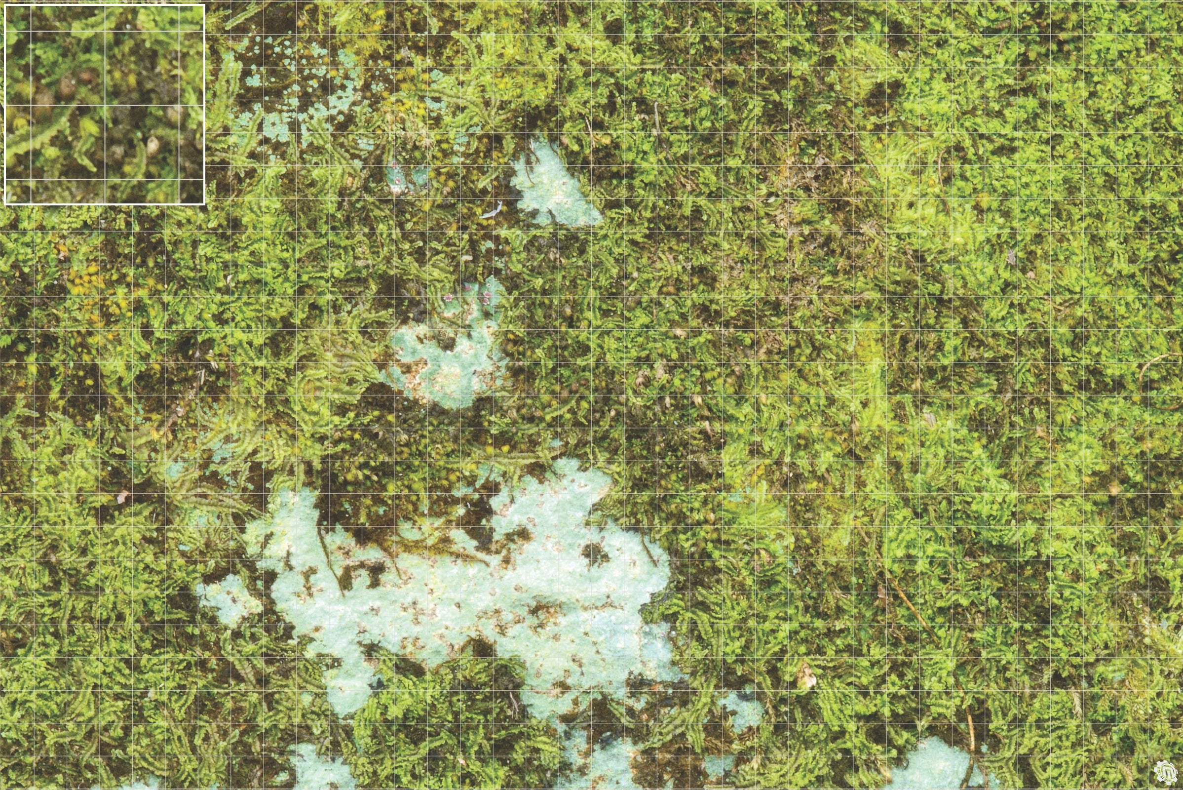 Mats by Mars: Swamplands v1.0 Tabletop Wargaming Play Mat