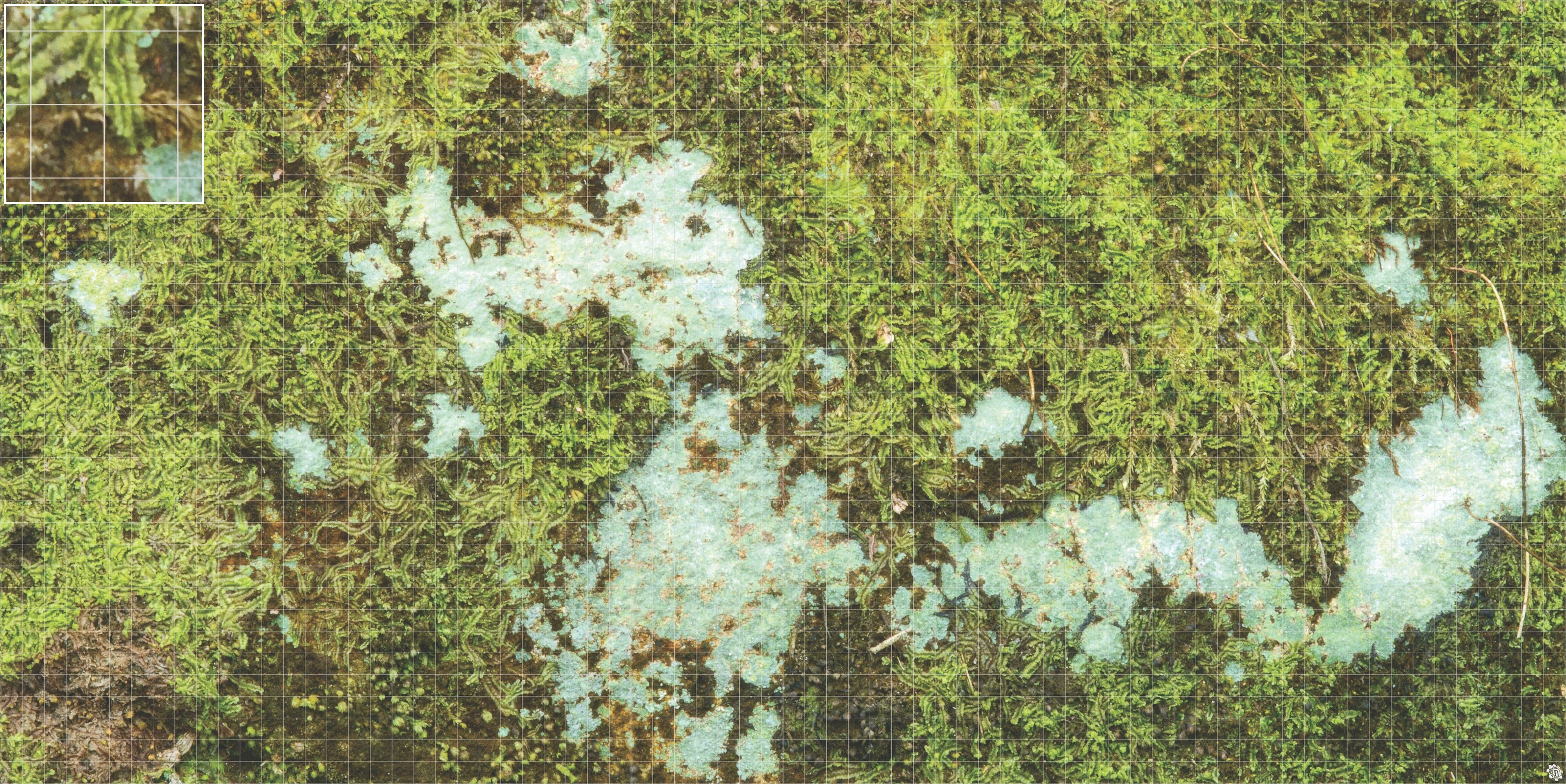 Mats by Mars: Swamplands v1.0 Tabletop Wargaming Play Mat