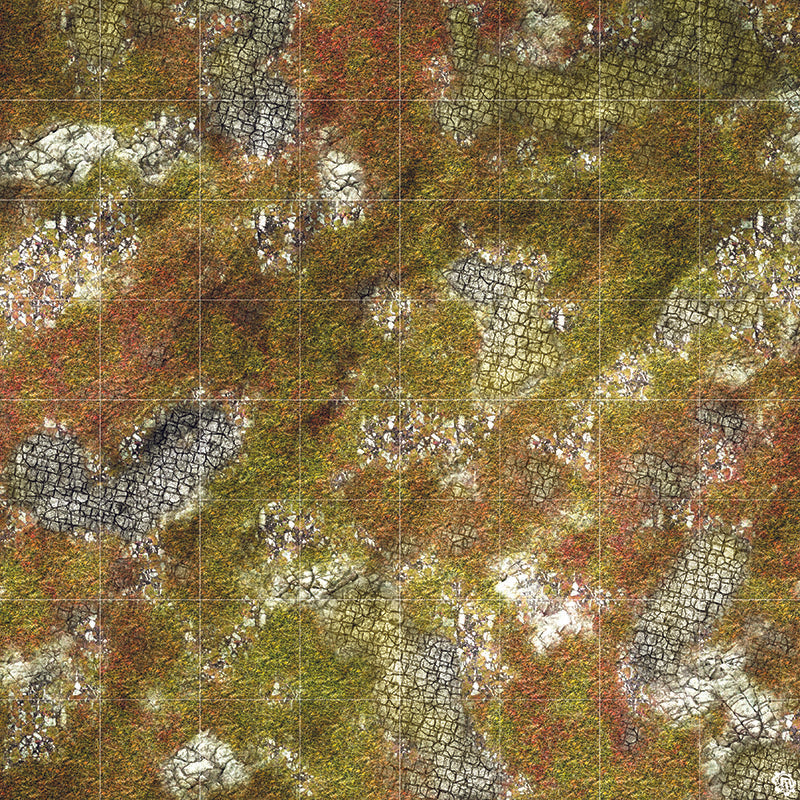 Mats by Mars: Abandoned City Tabletop Wargaming Play Mat