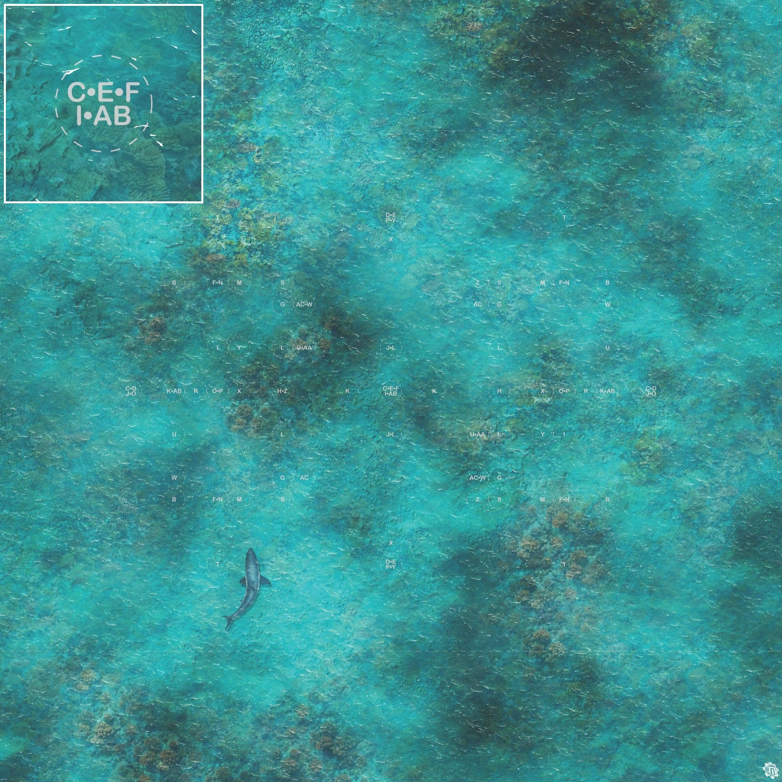 Mats by Mars: Coral Cove Tabletop Wargaming Play Mat
