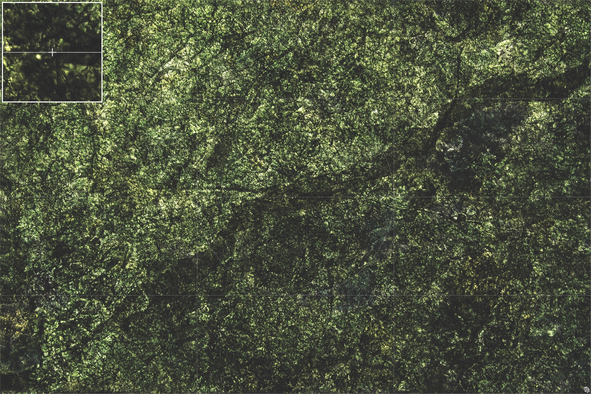 Mats by Mars: Creeping Mold Tabletop Wargaming Play Mat