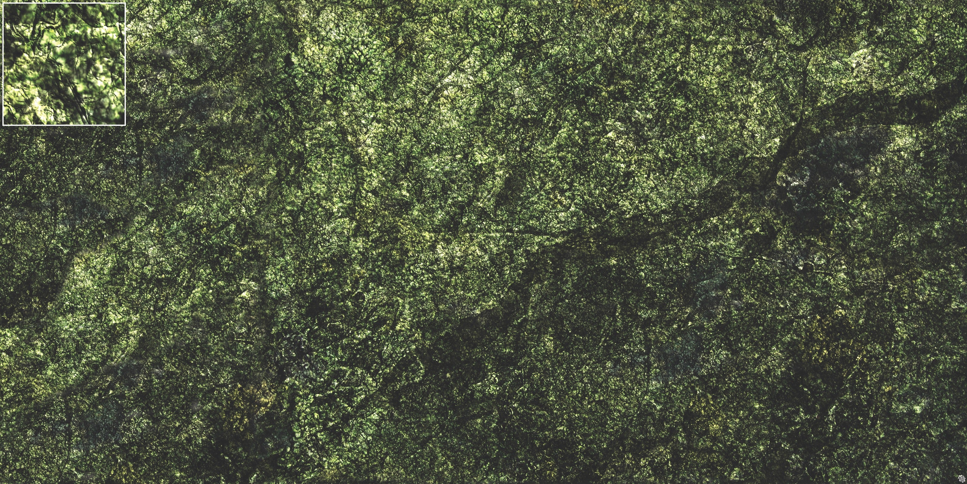 Mats by Mars: Creeping Mold Tabletop Wargaming Play Mat