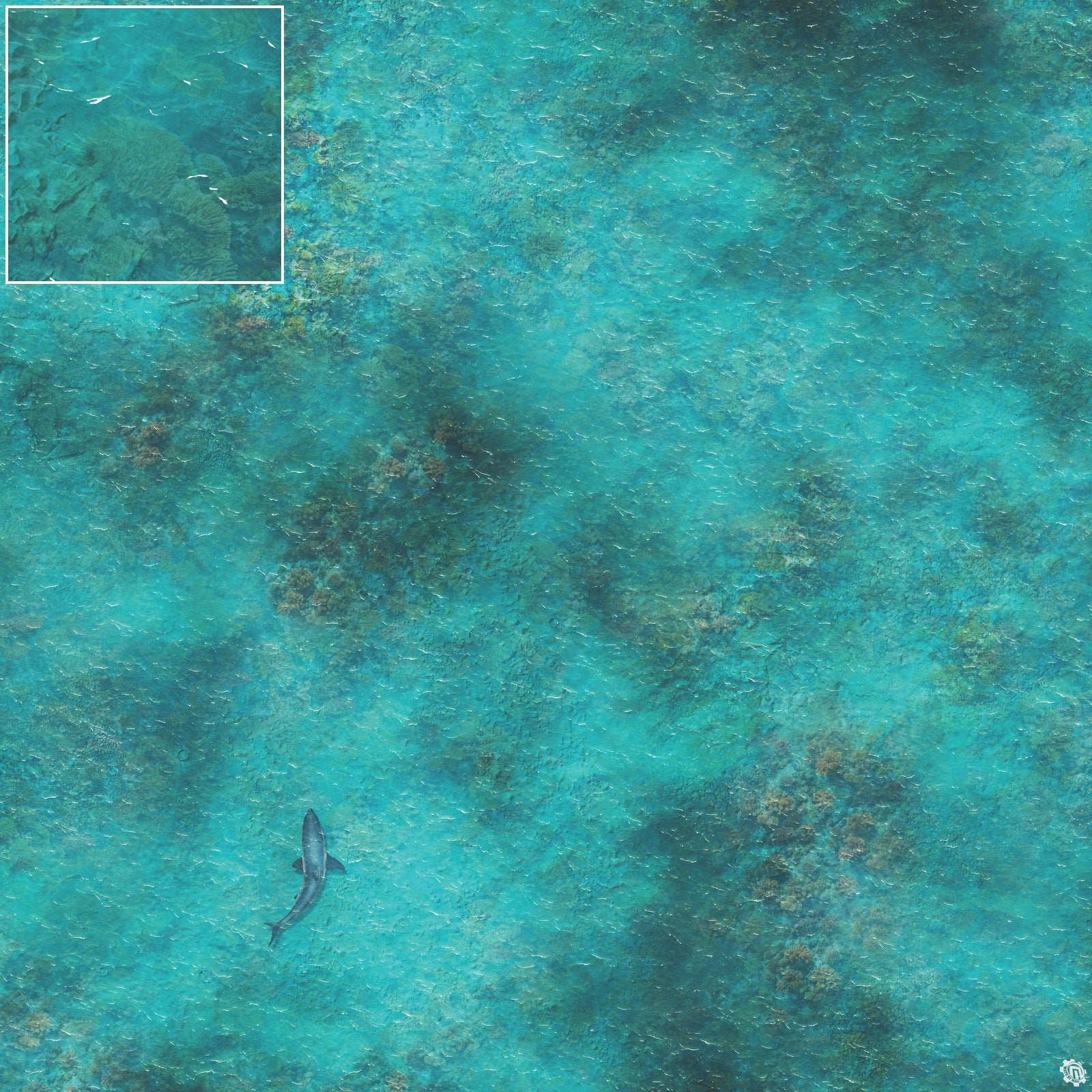 Mats by Mars: Coral Cove Tabletop Wargaming Play Mat