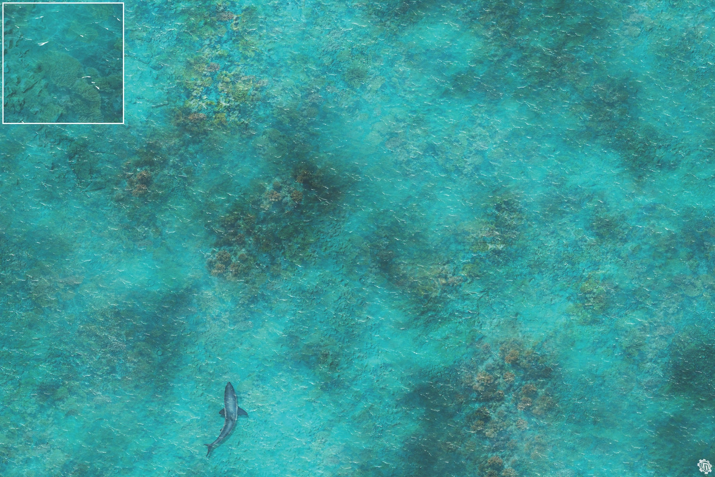 Mats by Mars: Coral Cove Tabletop Wargaming Play Mat