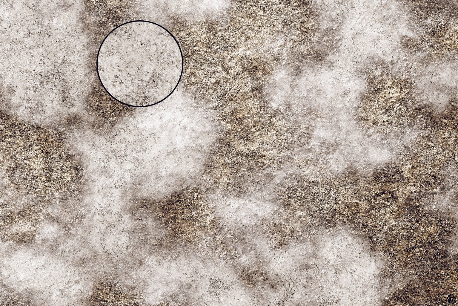 Mats by Mars: Sagebrush Steppes Tabletop Wargaming Play Mat