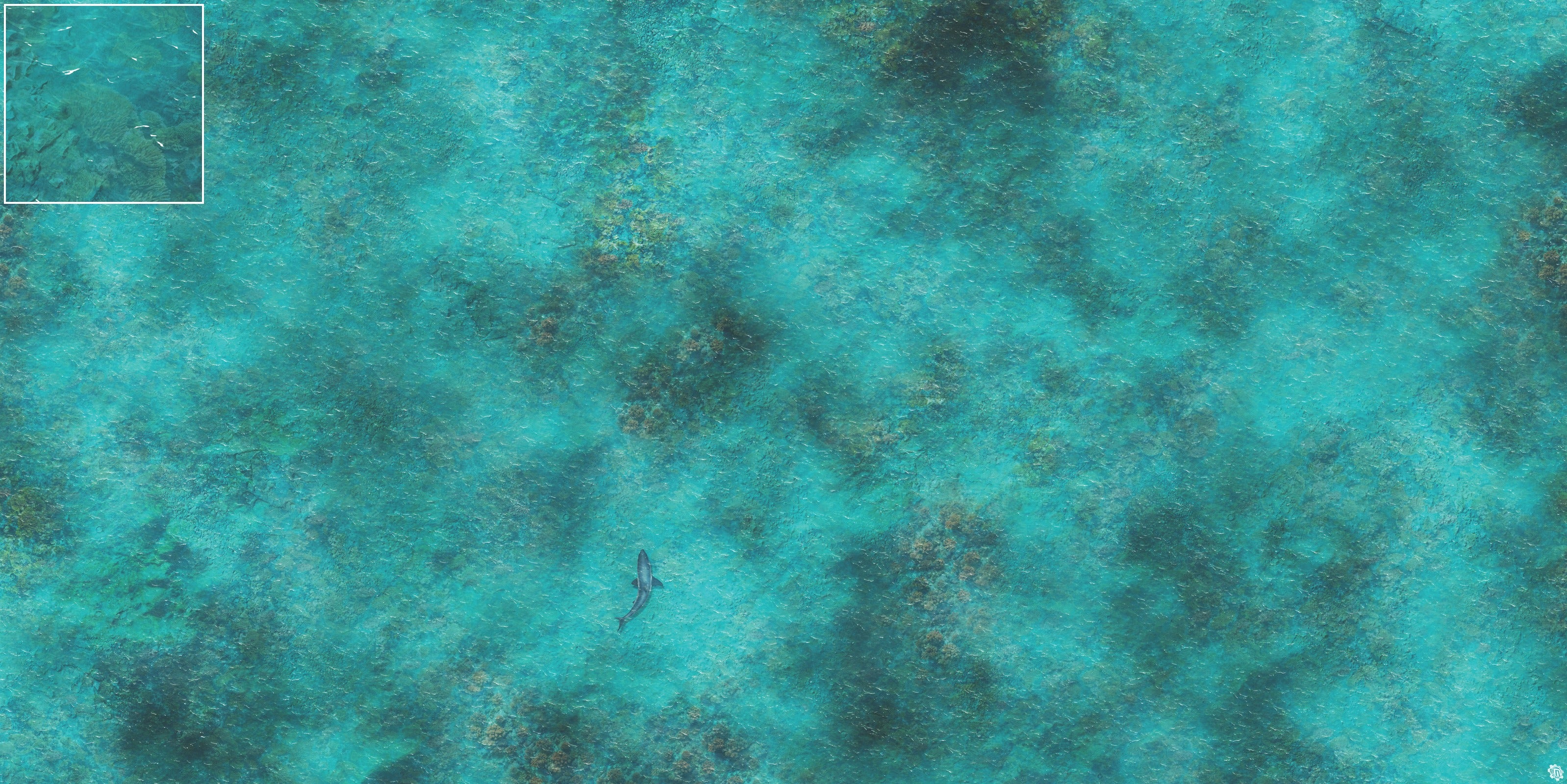 Mats by Mars: Coral Cove Tabletop Wargaming Play Mat