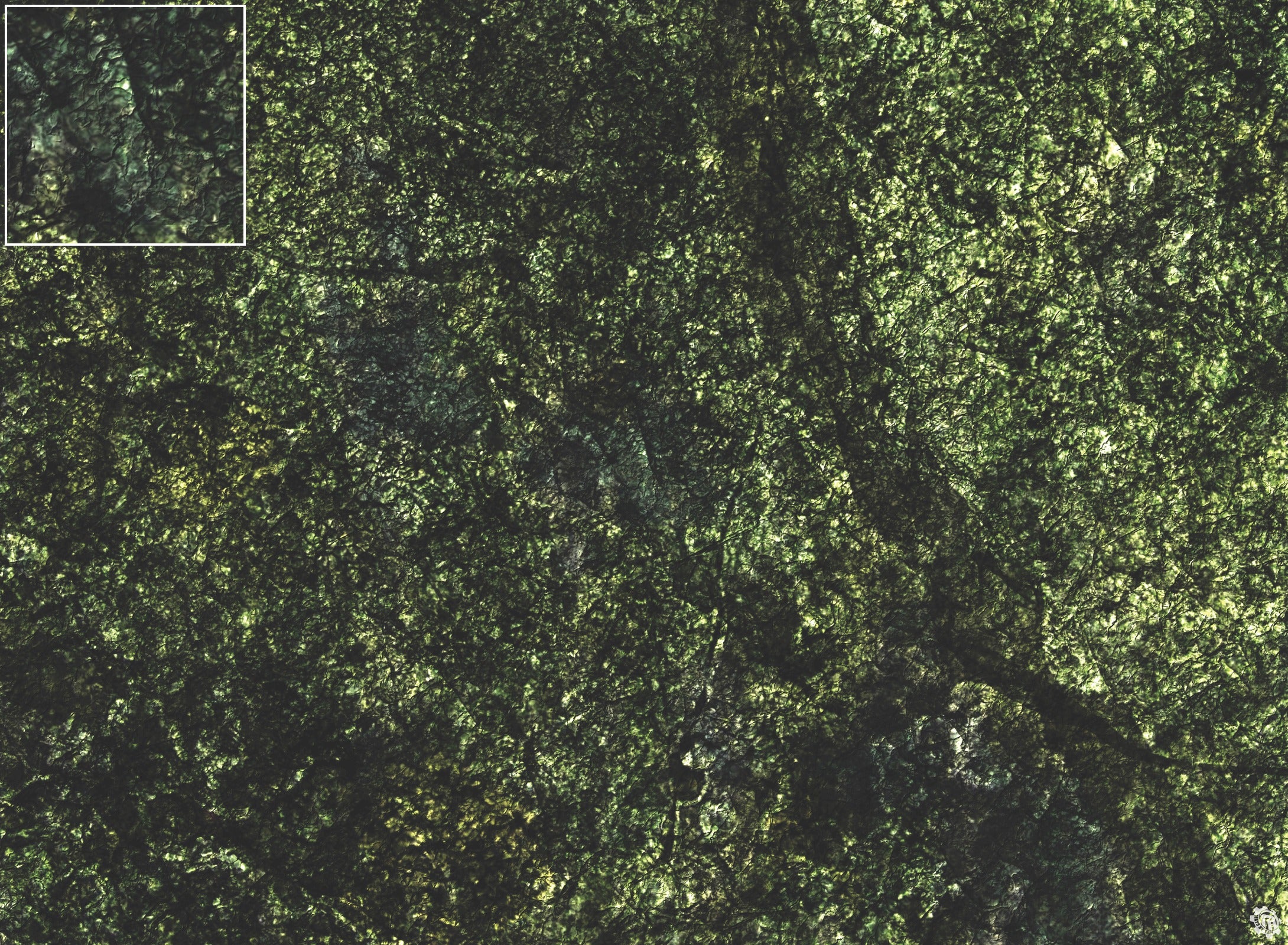 Mats by Mars: Creeping Mold Tabletop Wargaming Play Mat