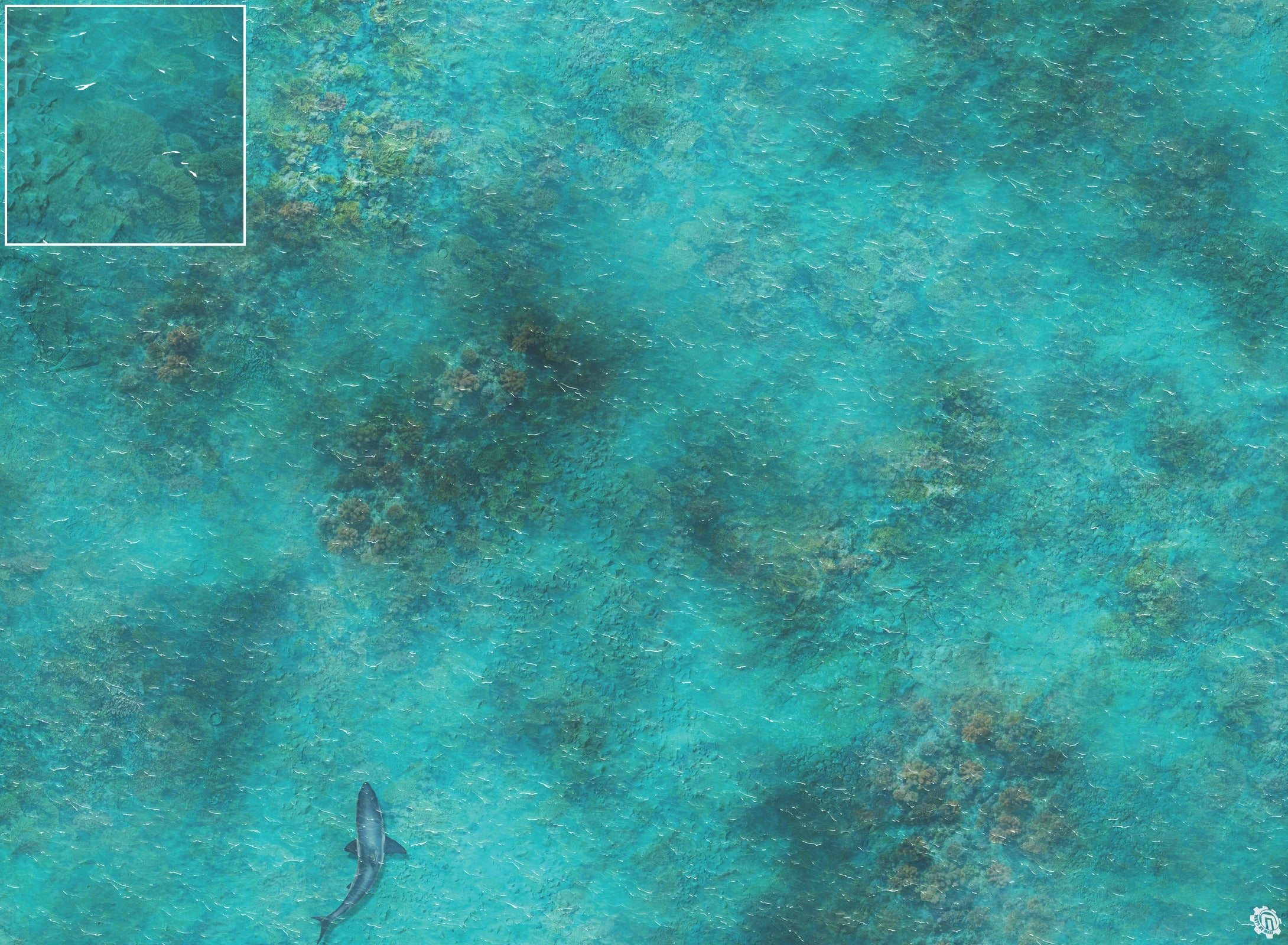 Mats by Mars: Coral Cove Tabletop Wargaming Play Mat