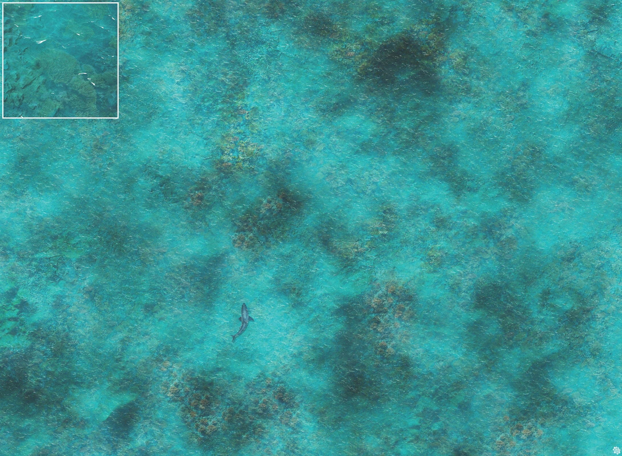 Mats by Mars: Coral Cove Tabletop Wargaming Play Mat