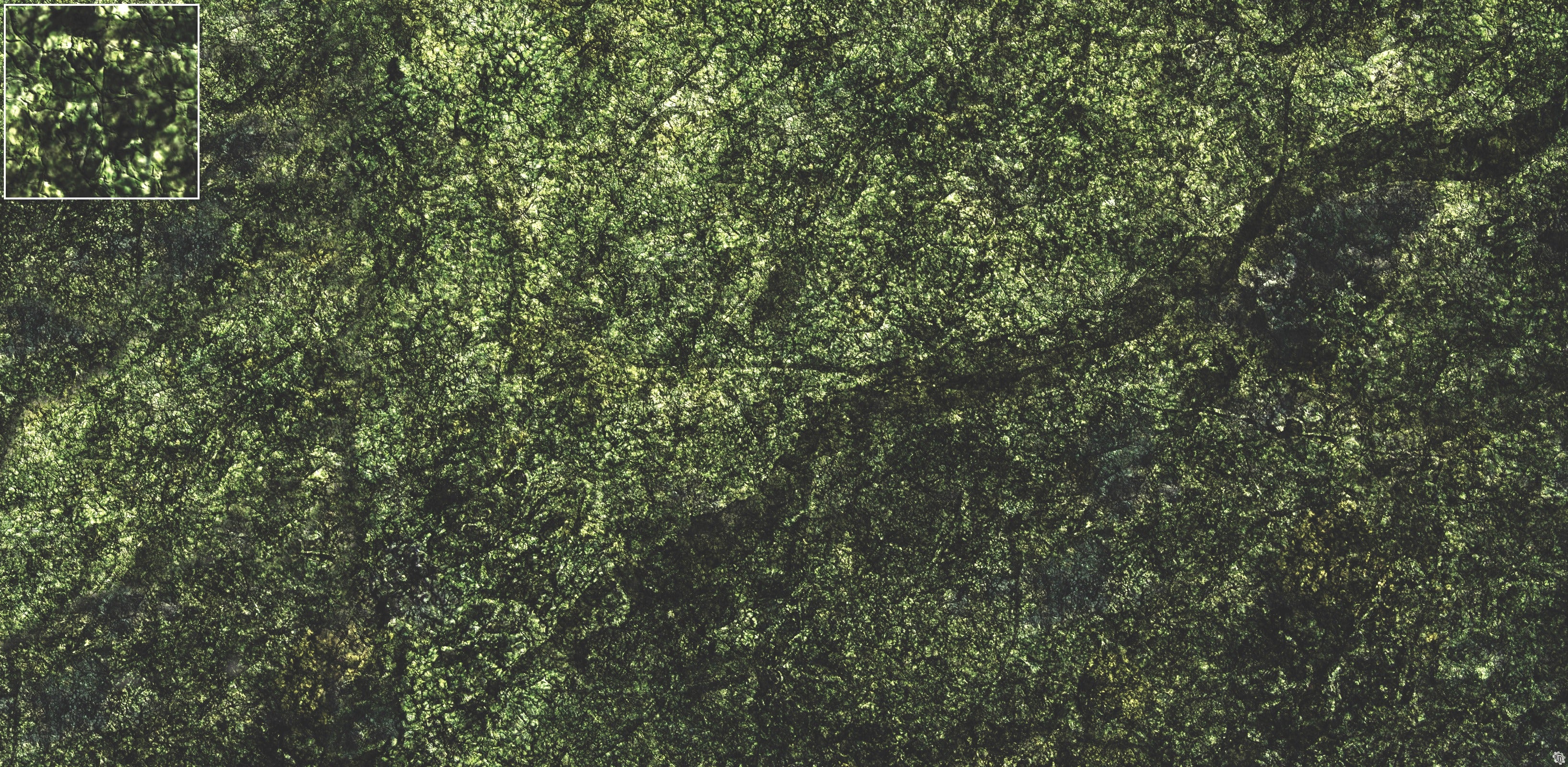 Mats by Mars: Creeping Mold Tabletop Wargaming Play Mat