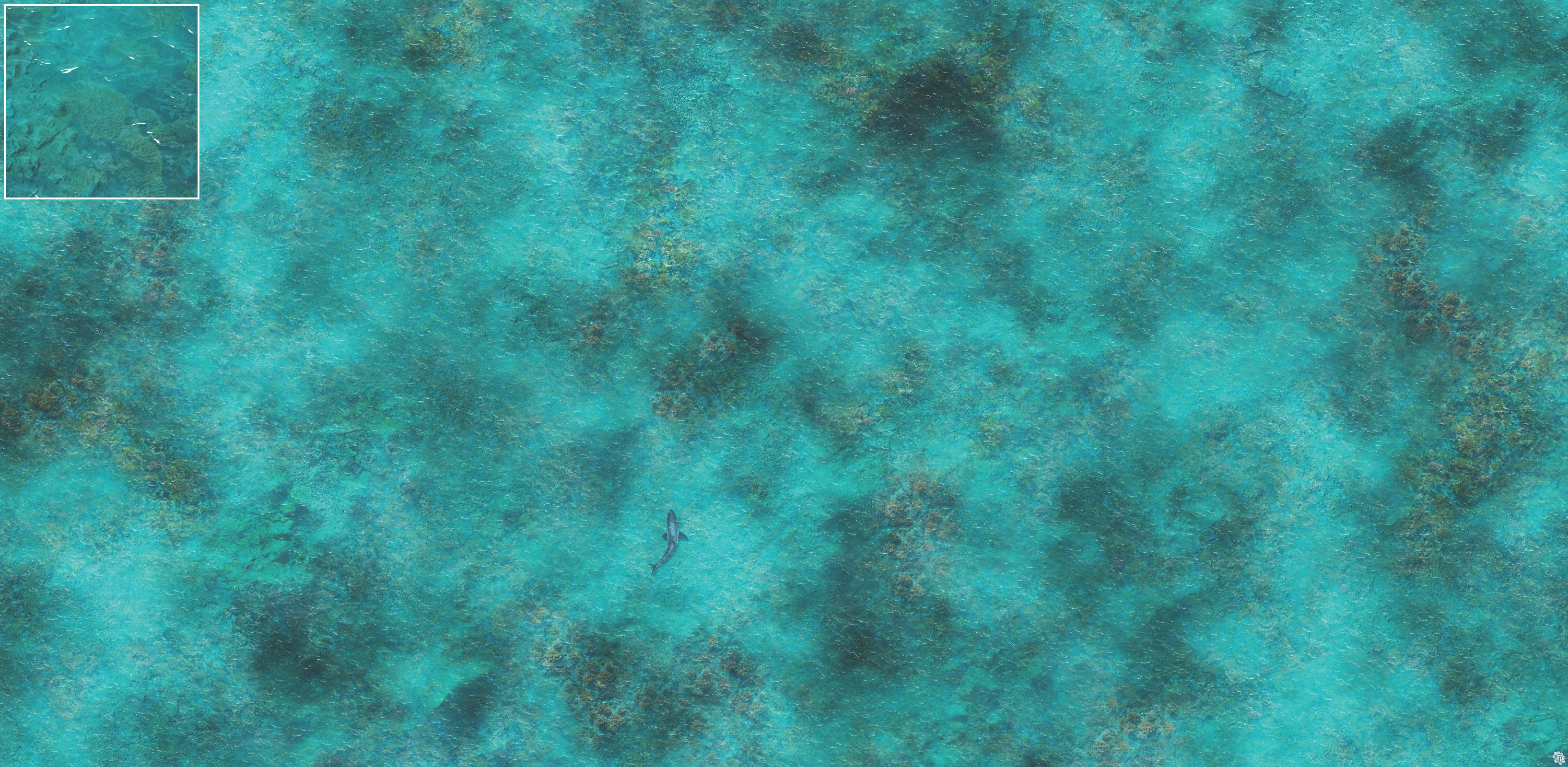 Mats by Mars: Coral Cove Tabletop Wargaming Play Mat