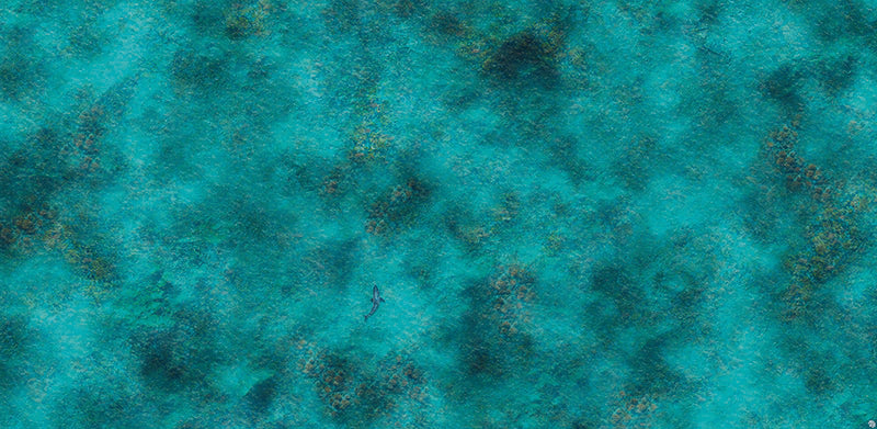 Mats by Mars: Coral Cove Tabletop Wargaming Play Mat