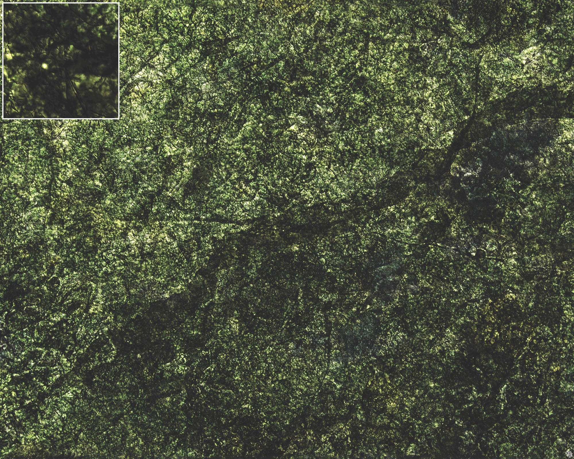 Mats by Mars: Creeping Mold Tabletop Wargaming Play Mat
