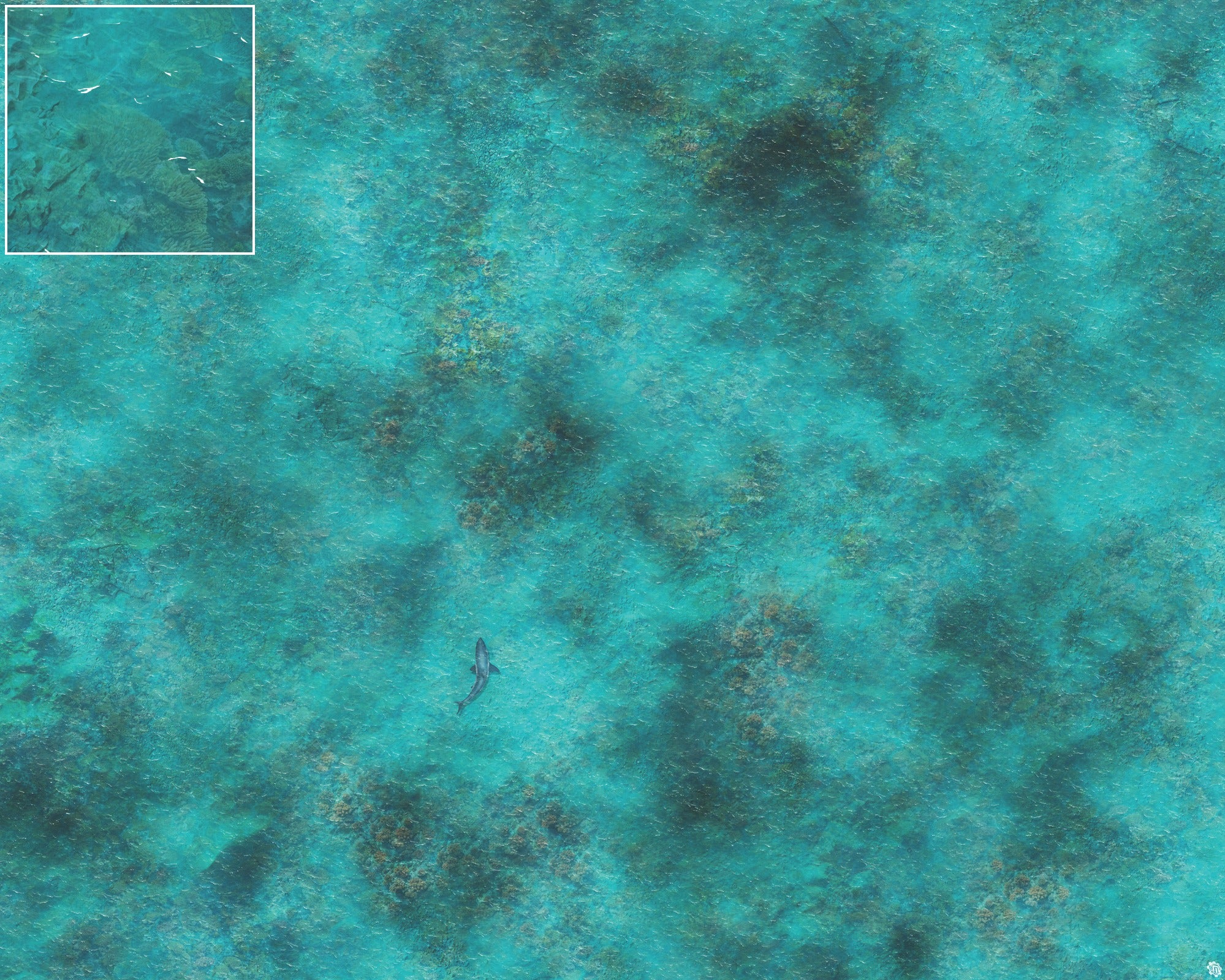 Mats by Mars: Coral Cove Tabletop Wargaming Play Mat