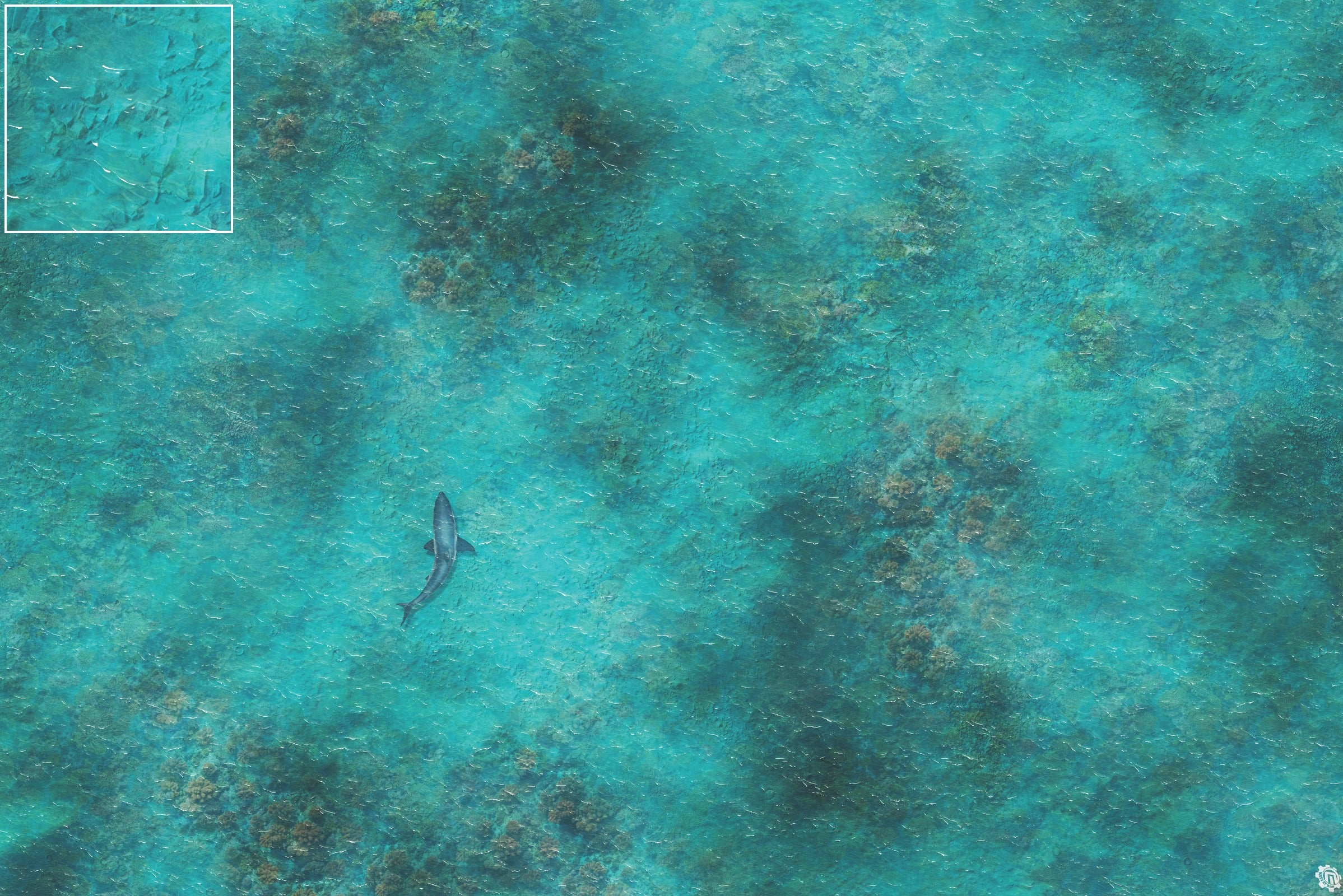 Mats by Mars: Coral Cove Tabletop Wargaming Play Mat